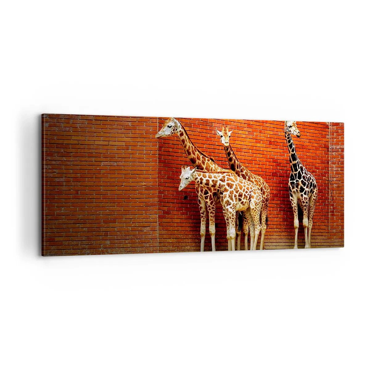 Obraz na płótnie - Widzicie jakąś akację? - 100x40 cm