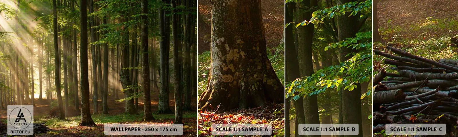 Fototapeta Próbka Samoprzylepna Deluxe Sticker - Rozpromieniony w wiosenny poranek - Krajobraz, Las, Park - 100x30 cm