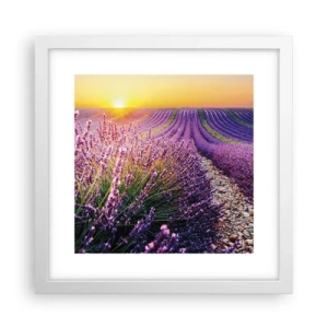 Plakat w białej ramie - Pachnący łan - 30x30 cm