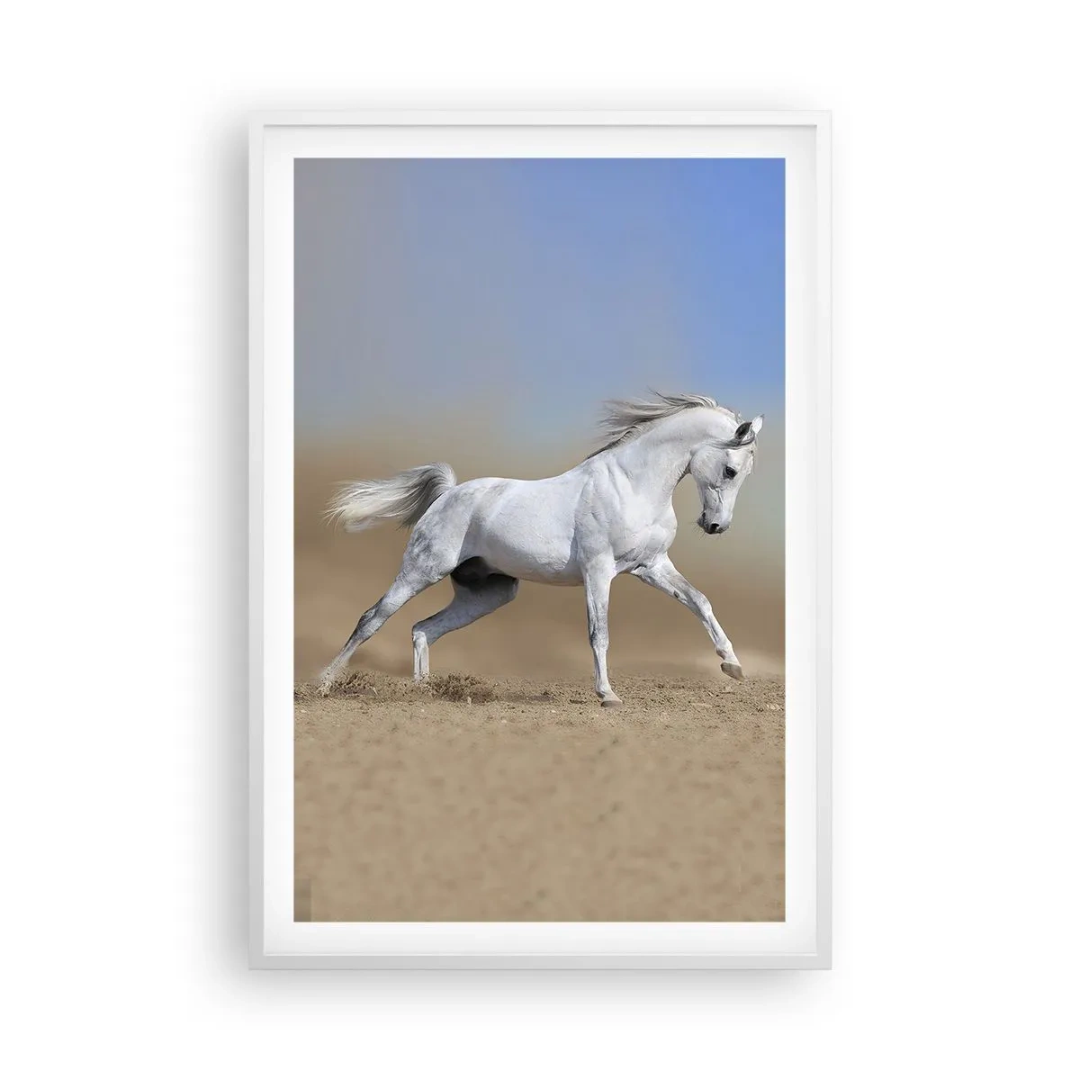 Plakat w białej ramie - Najpiękniejsza arabska baśń - 61x91 cm
