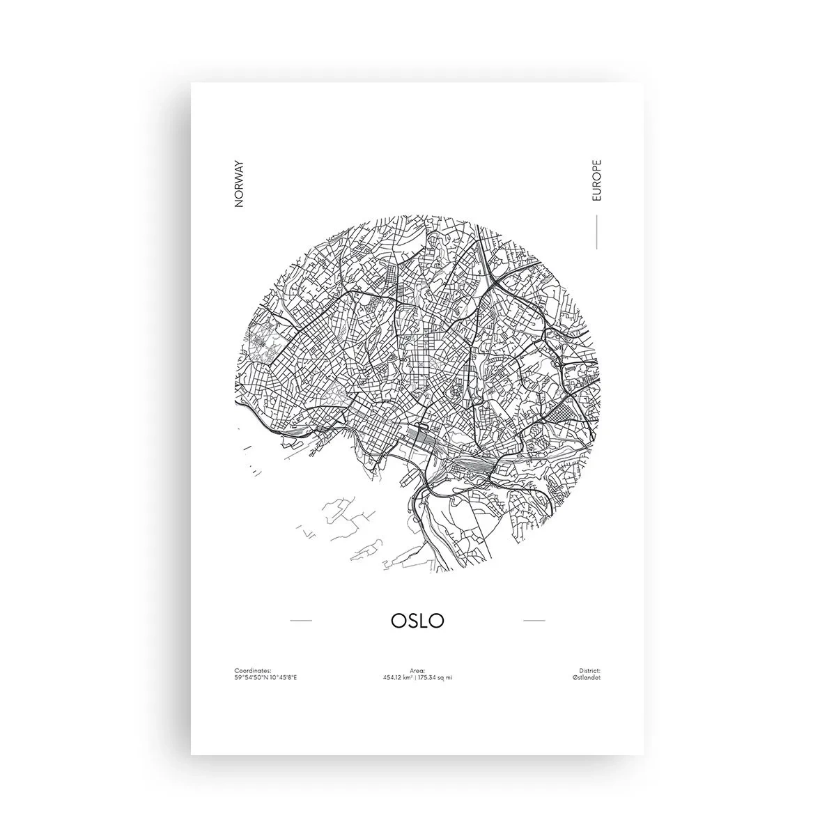 Plakat - Anatomia Oslo - 61x91 cm