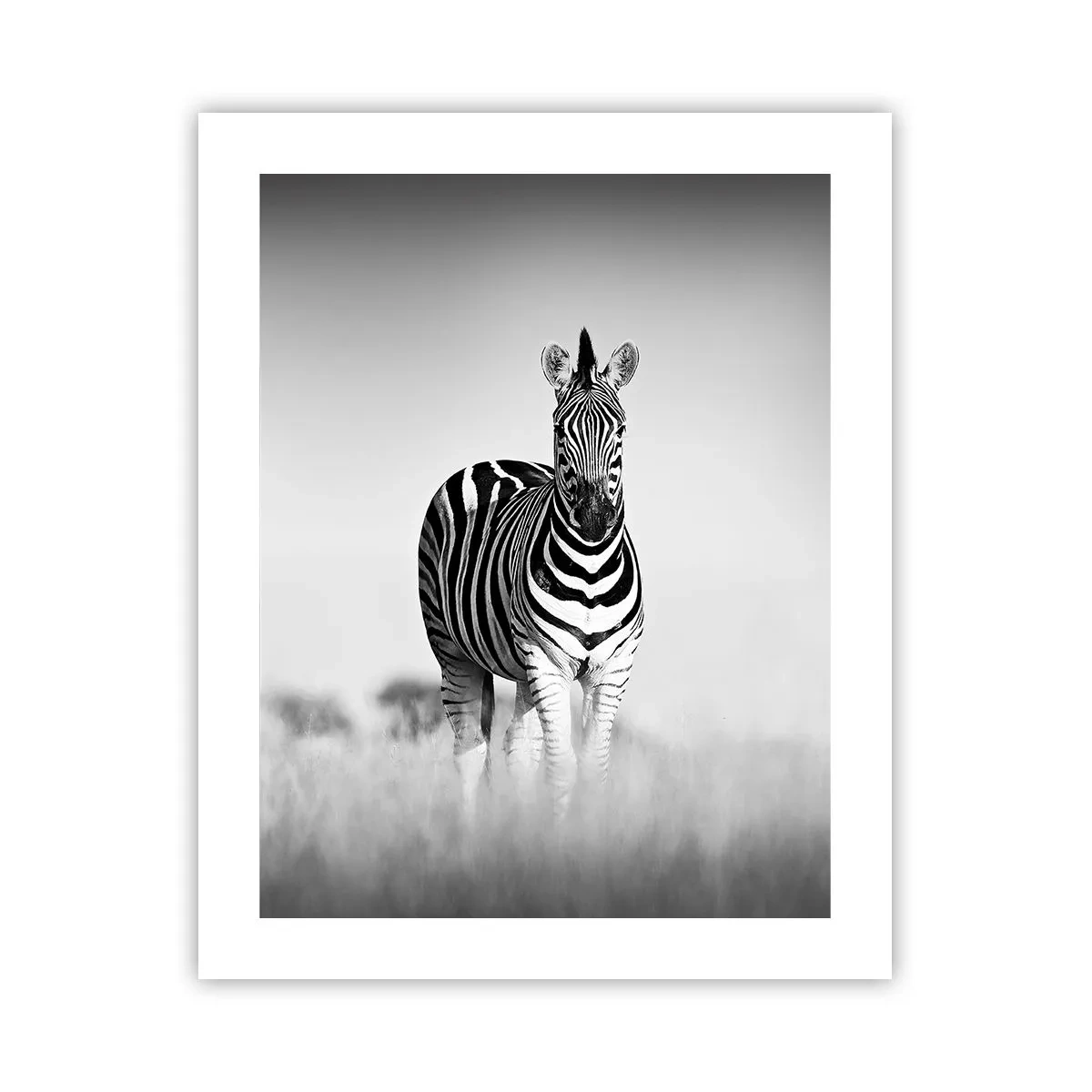 Plakat - A jednak świat jest czarno-biały - 40x50 cm