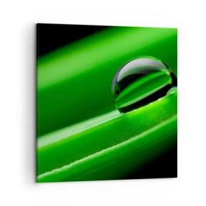 Obraz na płótnie - Życie z bliska - 50x50 cm