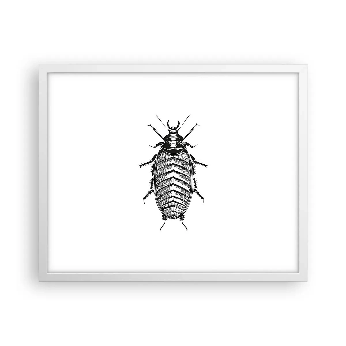 Plakat w białej ramie - Co za okaz! - 50x40 cm