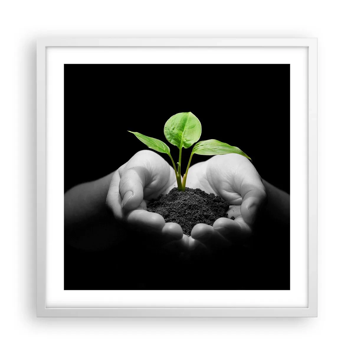 Plakat w białej ramie - Kocham naturę, chronię ją - 50x50 cm