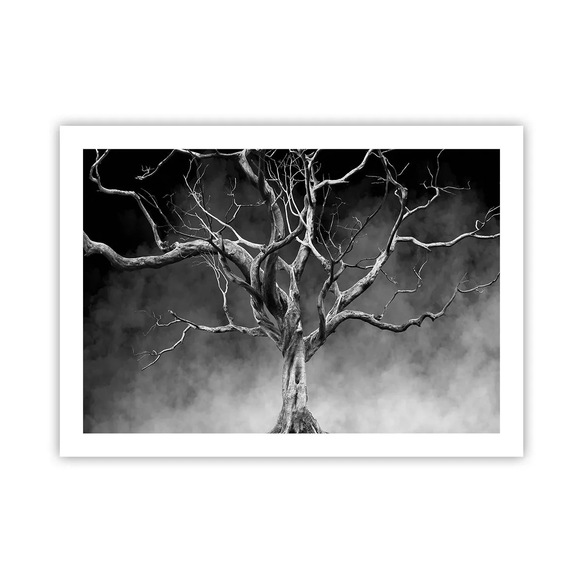Plakat - Pierwotne i święte - 70x50 cm