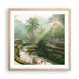 Plakat w ramie jasny dąb - Dorastać w słońcu - 50x50 cm