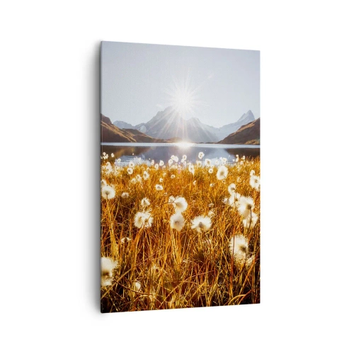 Obraz na płótnie - Pole bawełnianych traw na tle gór i jeziora w promieniach słońca - 80x120cm - Twardość skał, miękkość traw - Nowoczesna dekoracja ścienna do salonu i sypialni ARTTOR