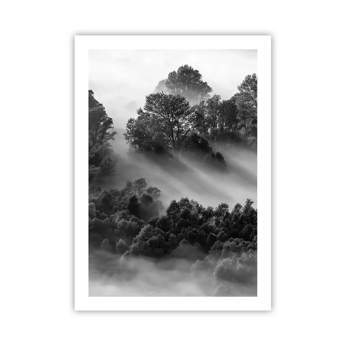 Plakat - Mglisty las w odcieniach czerni i bieli - 50x70cm - Wstający ze snu - Nowoczesna dekoracja ścienna do salonu, kuchni i sypialni ARTTOR