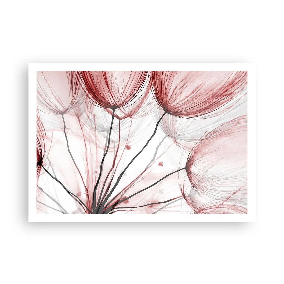 Plakat - Delikatne kwiaty w odcieniach czerwieni na jasnym tle - 100x70cm - Przed odlotem - Nowoczesna dekoracja ścienna do salonu i sypialni ARTTOR