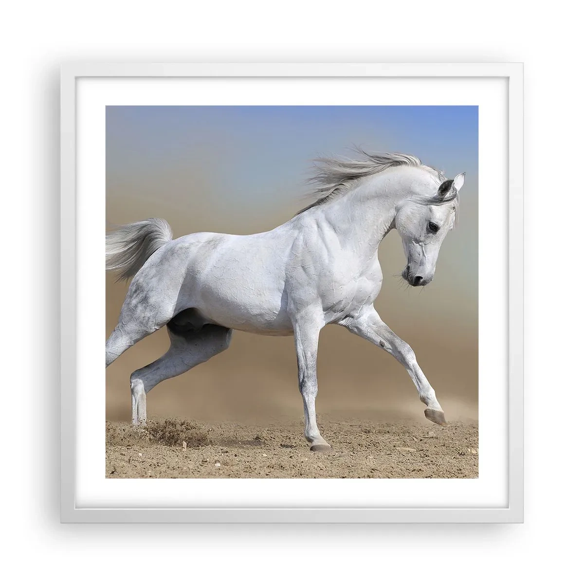 Plakat w białej ramie - Najpiękniejsza arabska baśń - 50x50 cm