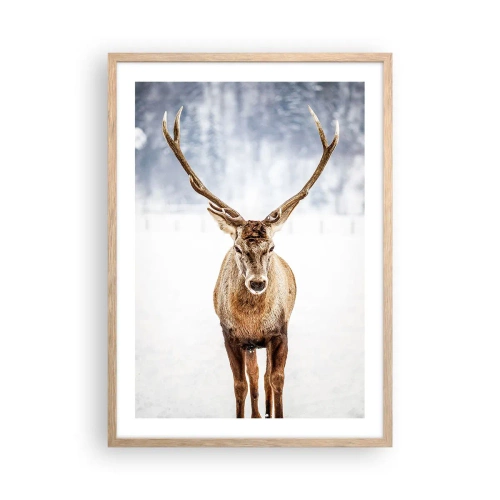 Plakat w ramie jasny dąb - Prosto ze śnieżnej mgły - 50x70 cm