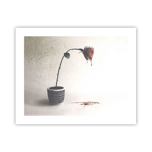 Plakat - Rosa dolorosa - 50x40 cm