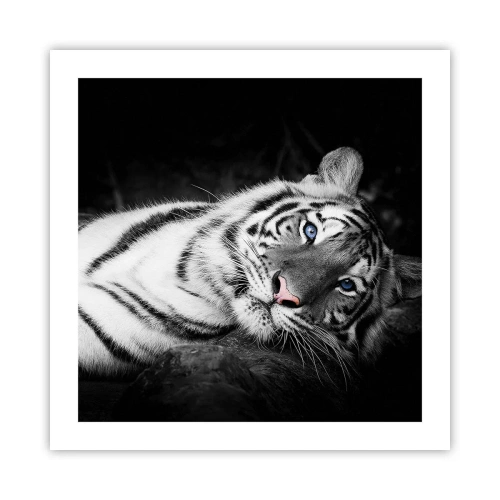 Plakat - Dzikość i spokój - 50x50 cm