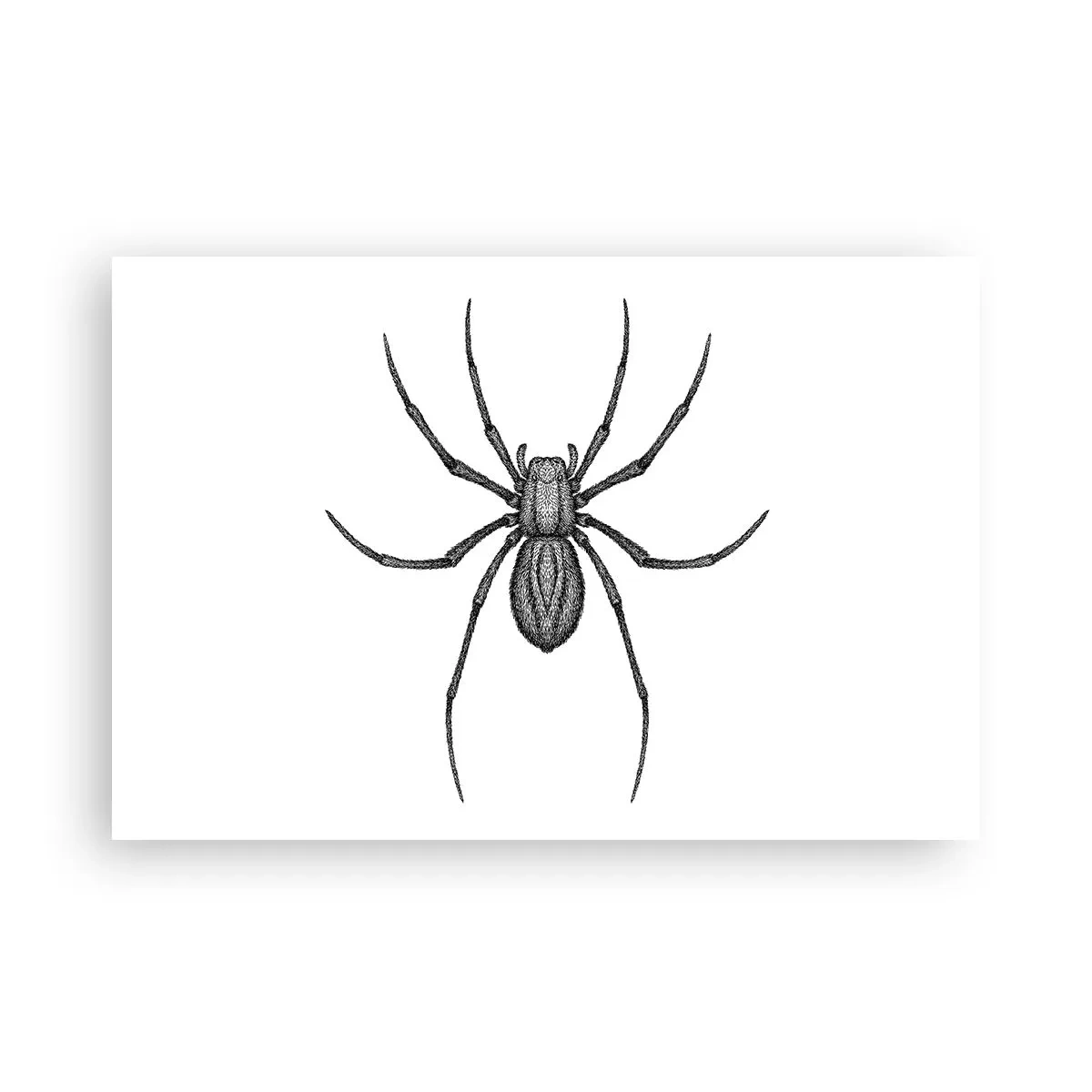 Plakat - Niepokojąca precyzja - 91x61 cm