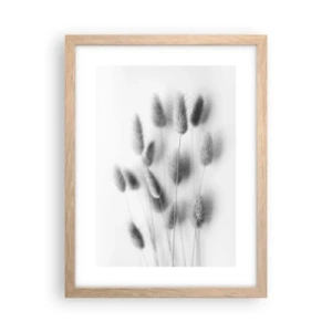 Plakat w ramie jasny dąb - Jej puszystość trawa - 30x40 cm