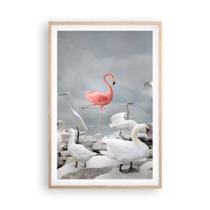 Plakat w ramie jasny dąb - Skąd się tu wziąłem? - 61x91 cm