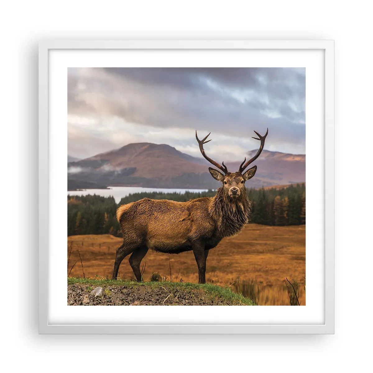 Plakat w białej ramie - Majestat natury - 50x50 cm