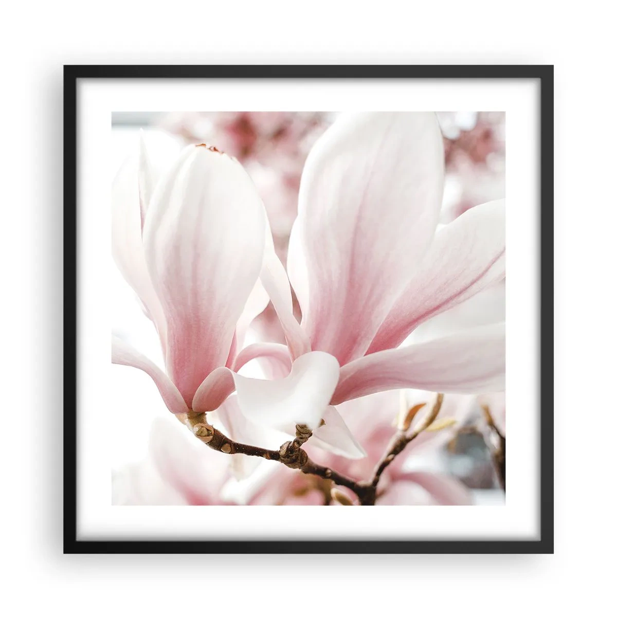 Plakat w czarnej ramie - Bezmiar czułości - 50x50 cm