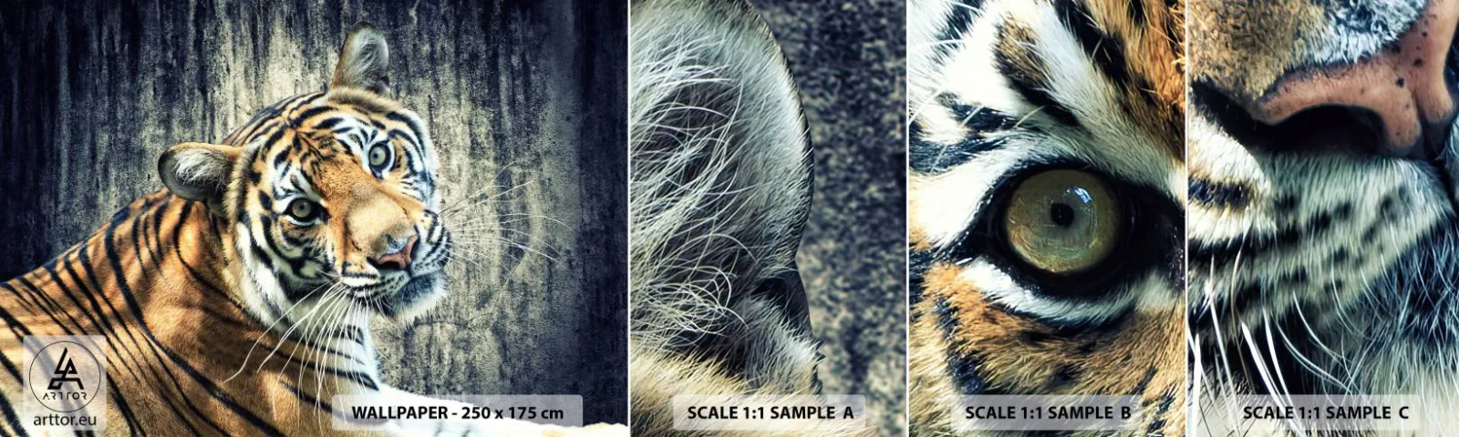 Fototapeta Próbka Standard Eco - Portret w strugach światła - Zwierzęta, Tygrys, Afryka - 100x30 cm