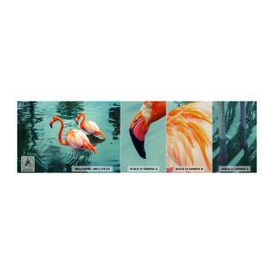 Fototapeta Próbka Premium Sand - Jesteśmy teraz w modzie - Flamingi, Ptaki, Natura - 100x30 cm