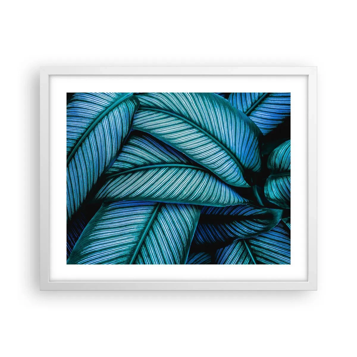 Plakat w białej ramie - Linie życia - 50x40 cm