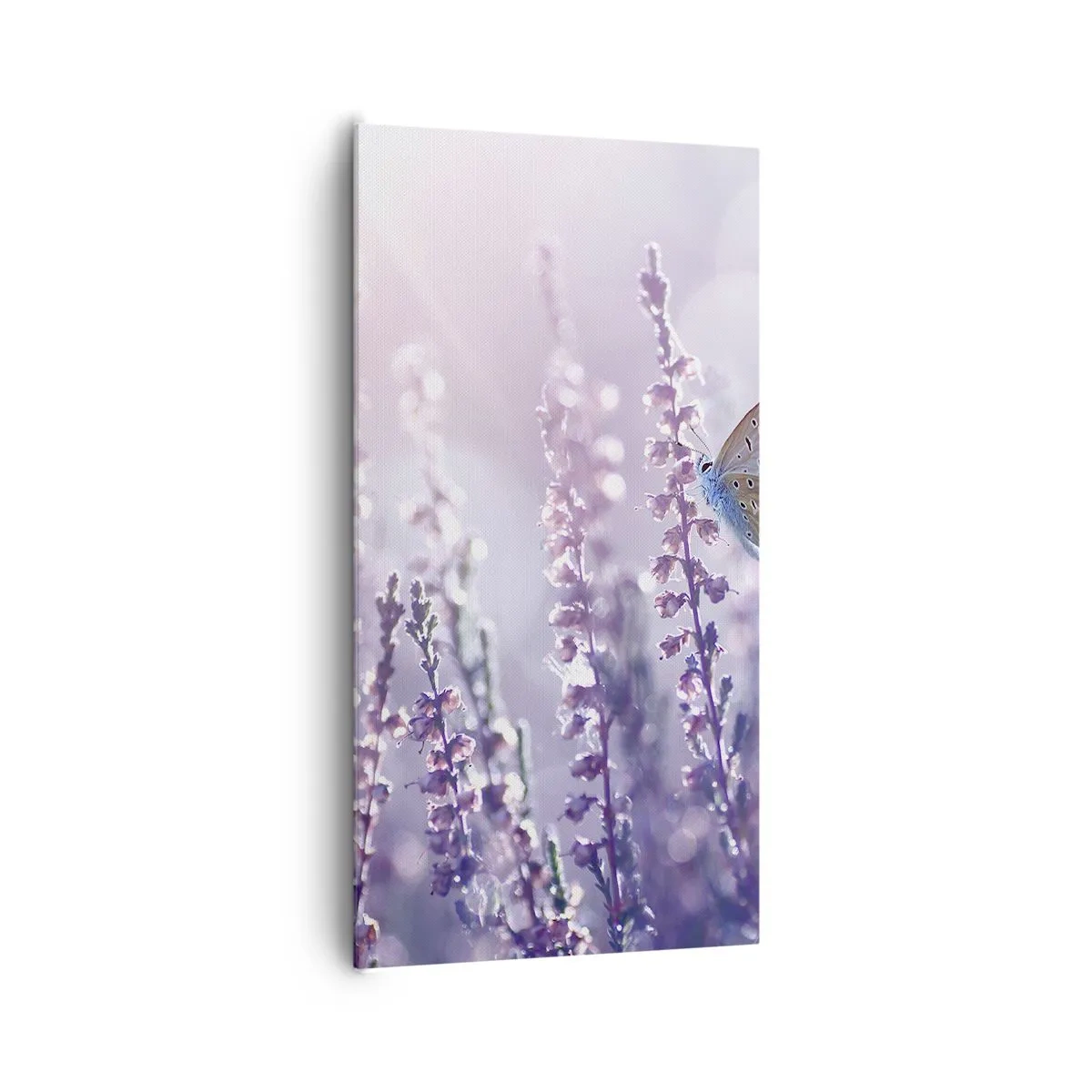 Obraz na płótnie - Pocałunek motyla - 65x120 cm