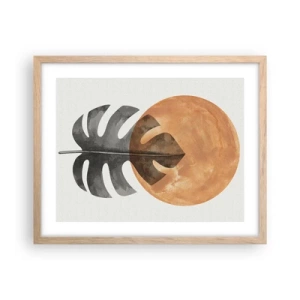 Plakat w ramie jasny dąb - Zawsze słońce - 50x40 cm