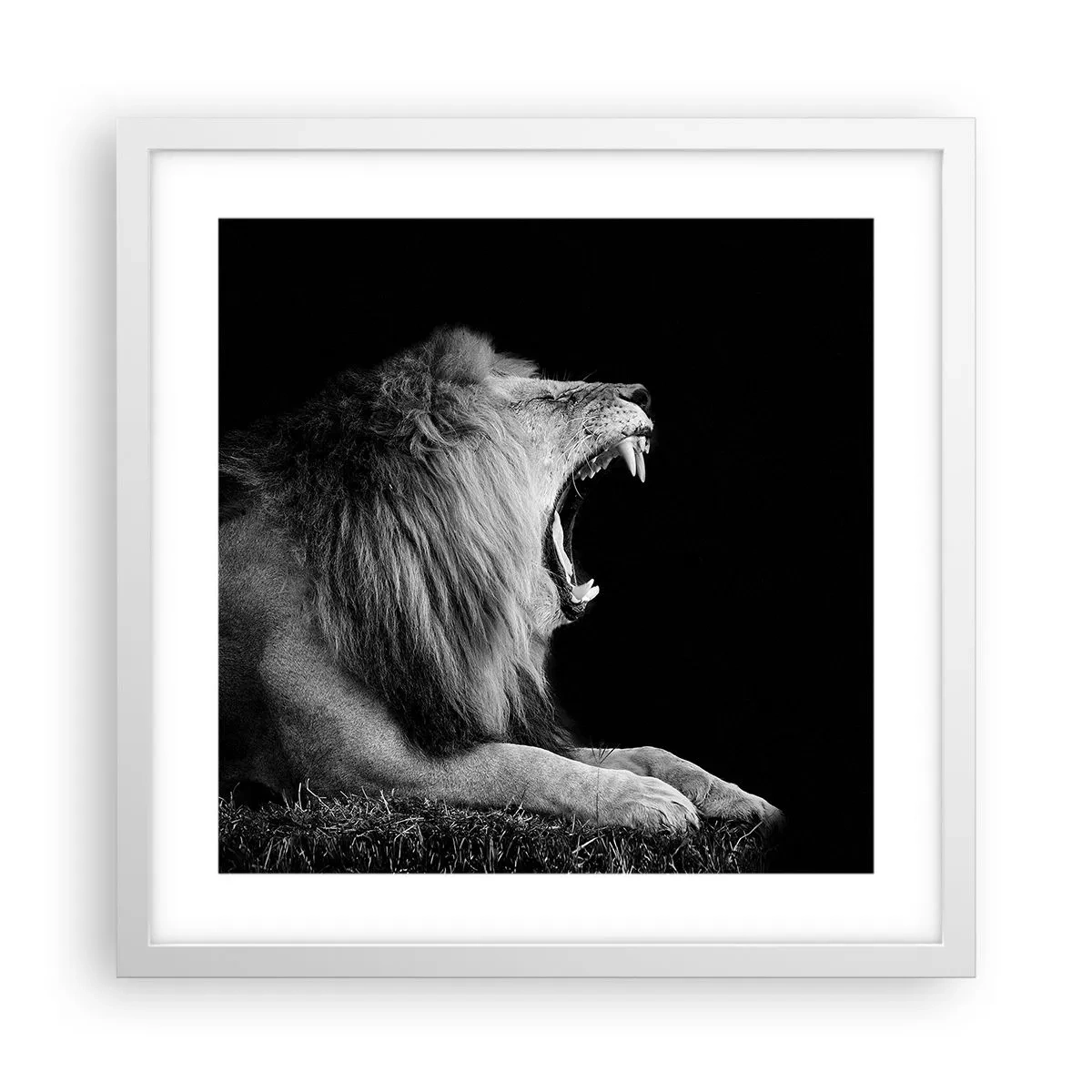 Plakat w białej ramie - Bez żadnych wątpliwości - 40x40 cm