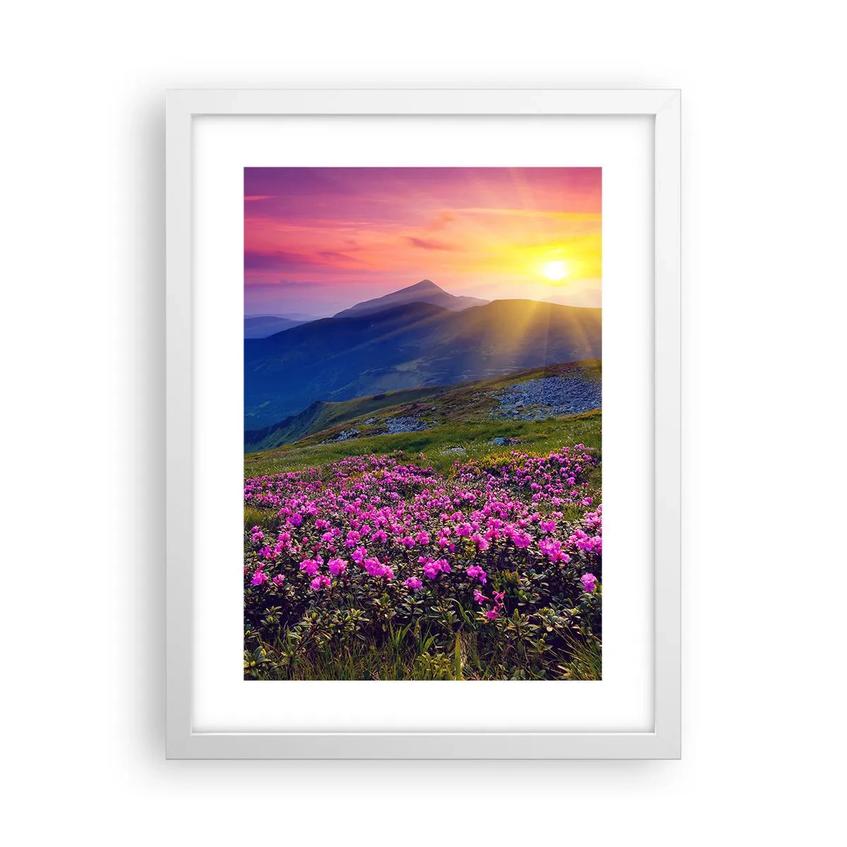 Plakat w białej ramie - … A dokoła pachnie kosodrzewina i wonieją zioła - 30x40 cm