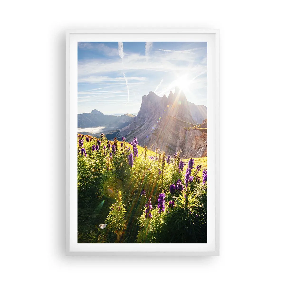 Plakat w białej ramie - Sekretne życie ziół - 61x91 cm