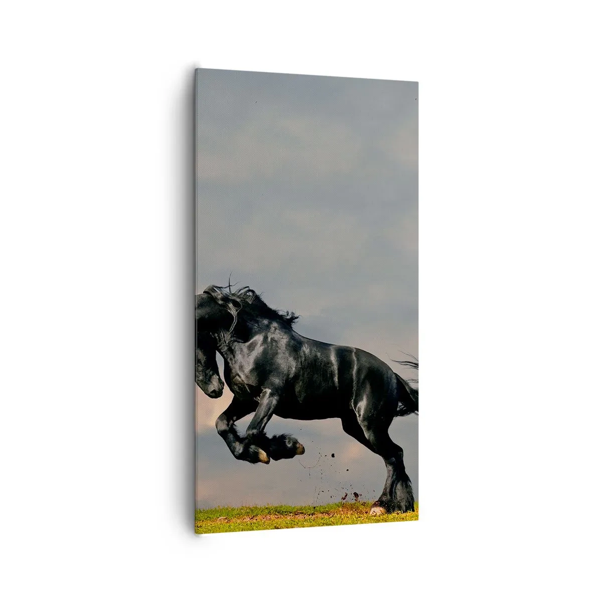 Obraz na płótnie - Piękny i wolny - 65x120 cm