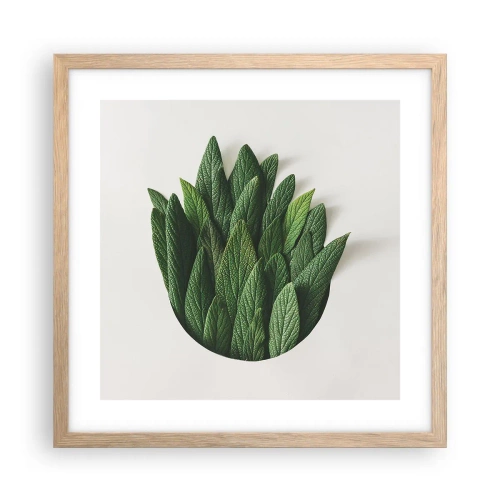 Plakat w ramie jasny dąb - Nieposkromiona ciekawość - 40x40 cm