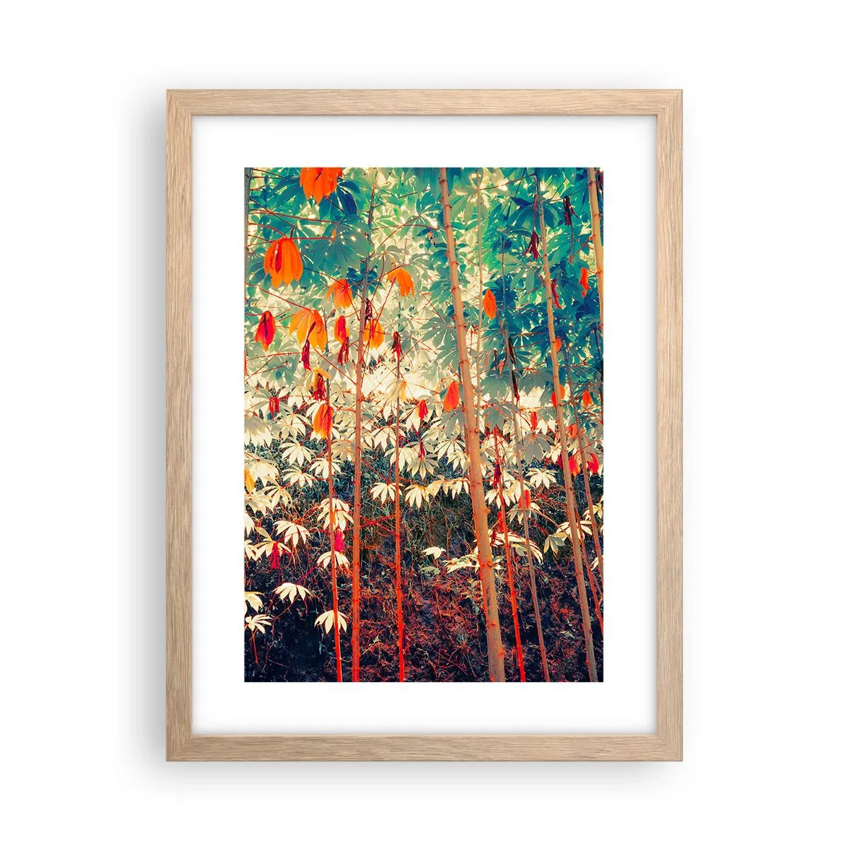 Plakat w ramie jasny dąb - Tajemne życie liści - 30x40 cm