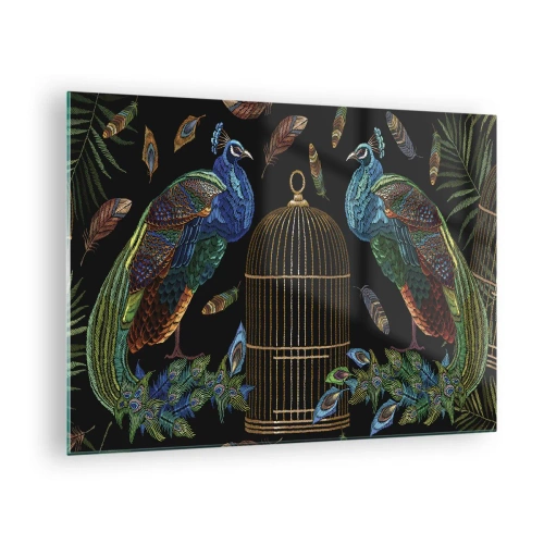 Obraz na szkle - Kolorowe pawie i klatka na czarnym tle - 70x50cm - W królewskich szatach - Nowoczesna dekoracja ścienna do salonu i sypialni ARTTOR