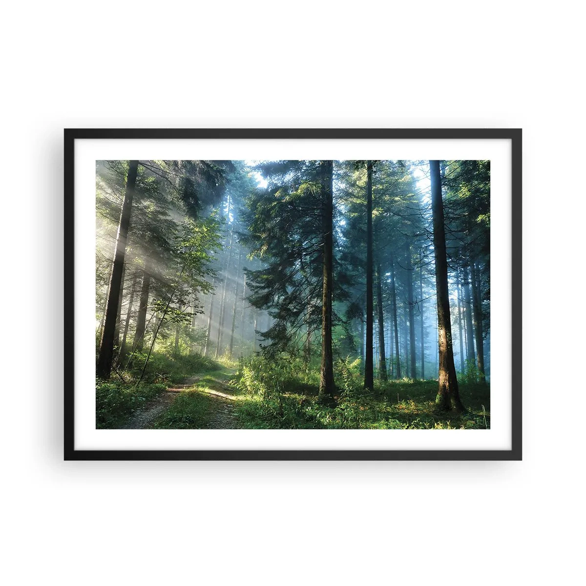 Plakat w czarnej ramie - Leśna ścieżka oświetlona promieniami porannego słońca - 70x50cm - Rozpromieniony o poranku - Nowoczesna dekoracja ścienna do salonu i sypialni ARTTOR