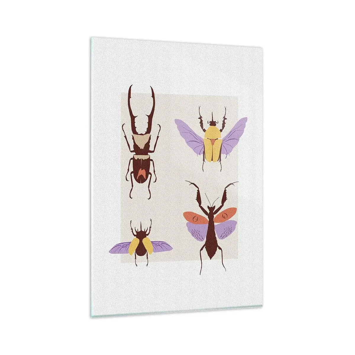 Obraz na szkle - Minimalistyczna ilustracja różnych gatunków chrząszczy na jasnym tle - 80x120cm - Owadzi świat - Nowoczesna dekoracja ścienna do salonu i sypialni ARTTOR