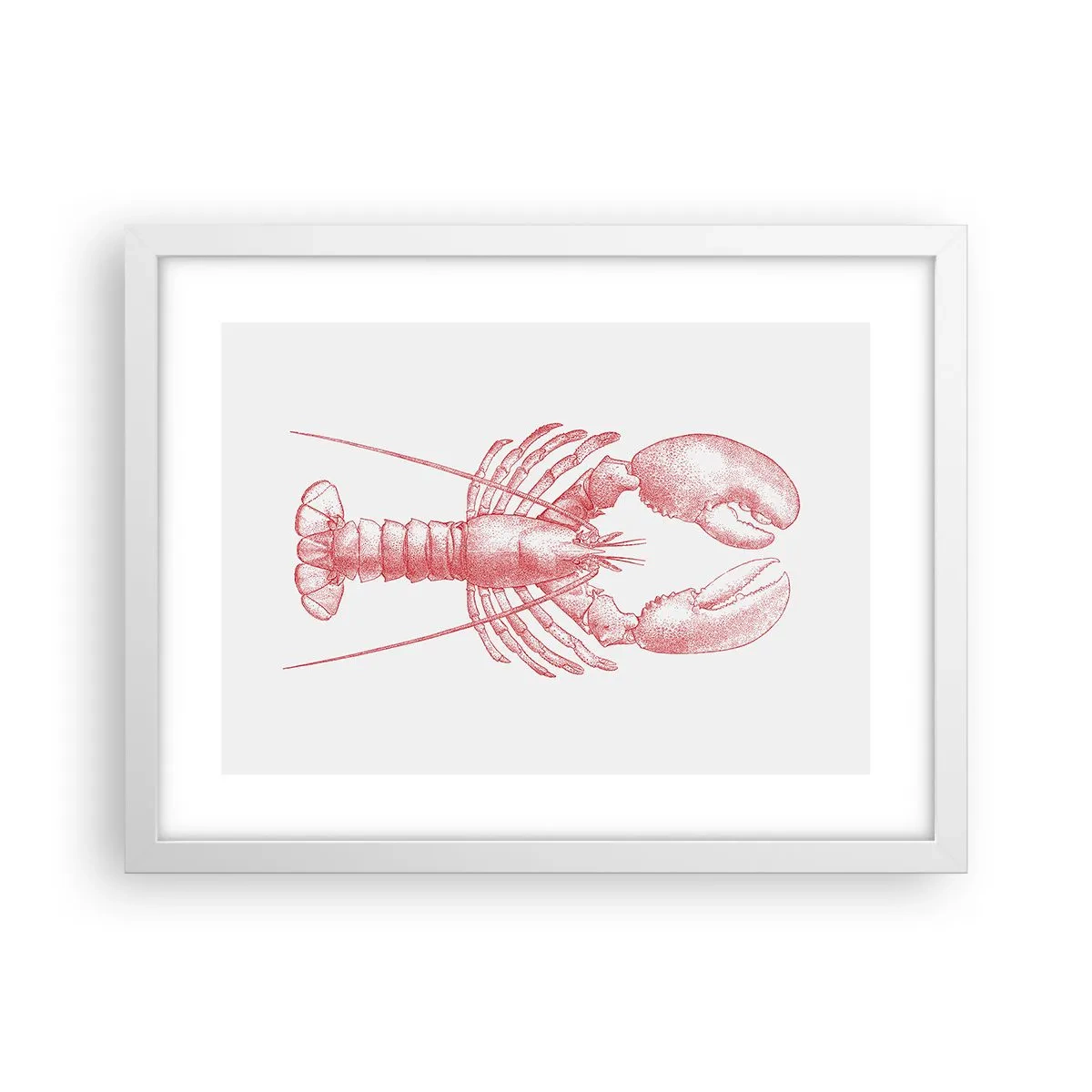 Plakat w białej ramie - Homar godny Homera - 40x30 cm