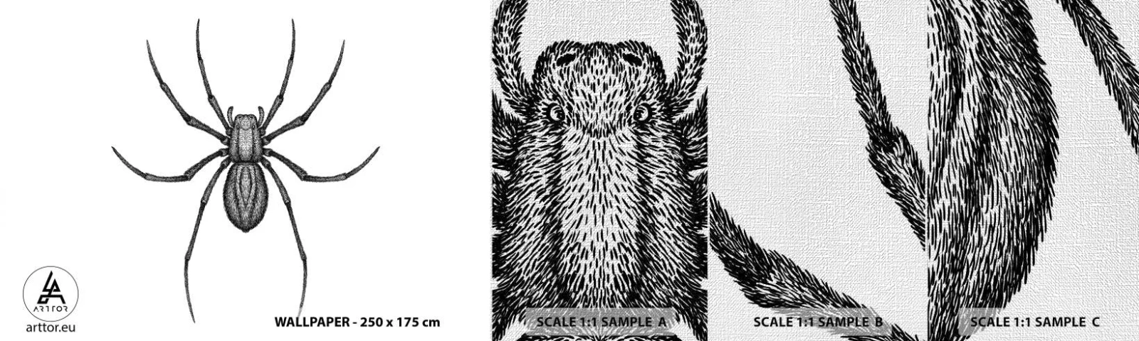 Fototapeta Próbka Premium Canvas - Niepokojąca precyzja - Pająk, Owad, Minimalistyczny - 100x30 cm