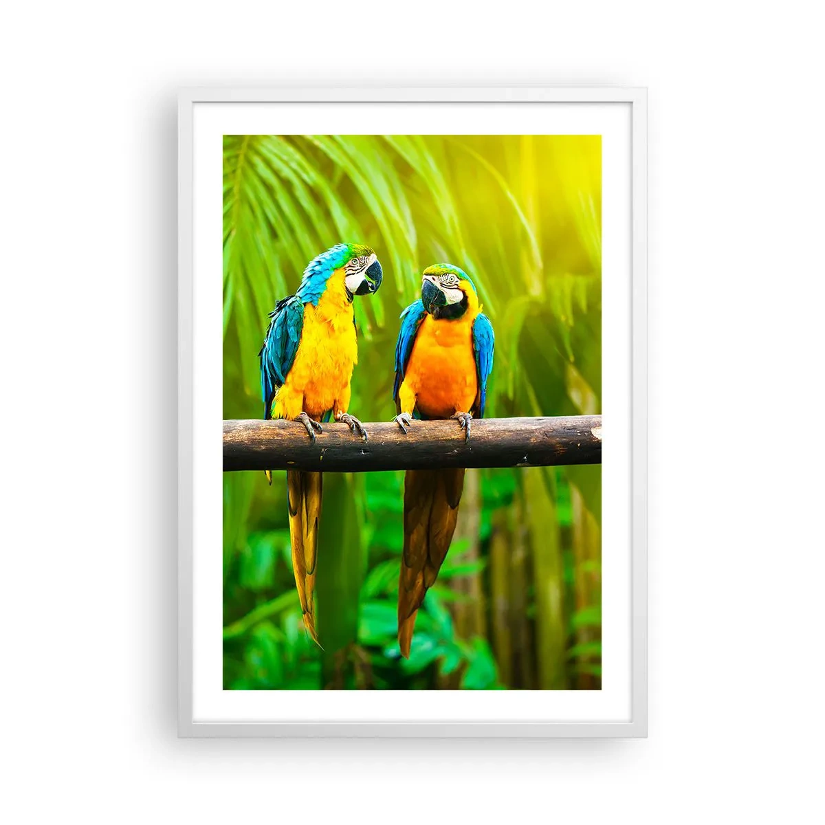 Plakat w białej ramie - A słyszałaś, że ona…? - 50x70 cm