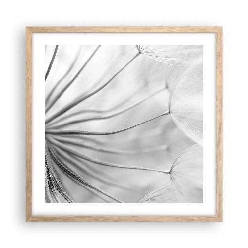 Plakat w ramie jasny dąb - Dmuchawce, latawce - 50x50 cm