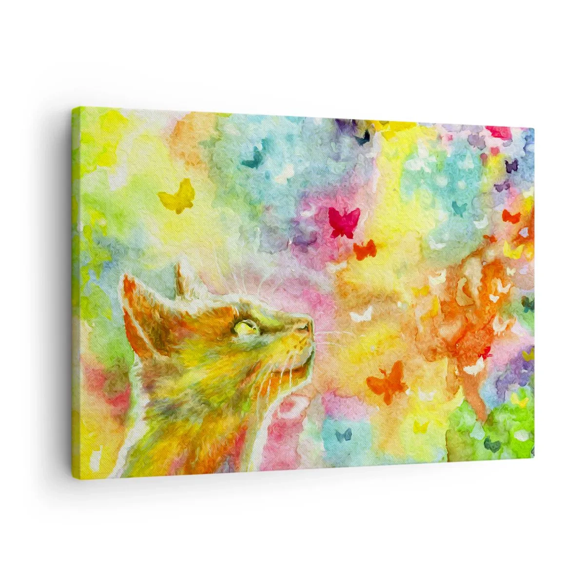 Obraz na płótnie - Kot w otoczeniu kolorowych motyli - 70x50cm - Baju-baju w kocim raju - Nowoczesna dekoracja ścienna do salonu i sypialni ARTTOR