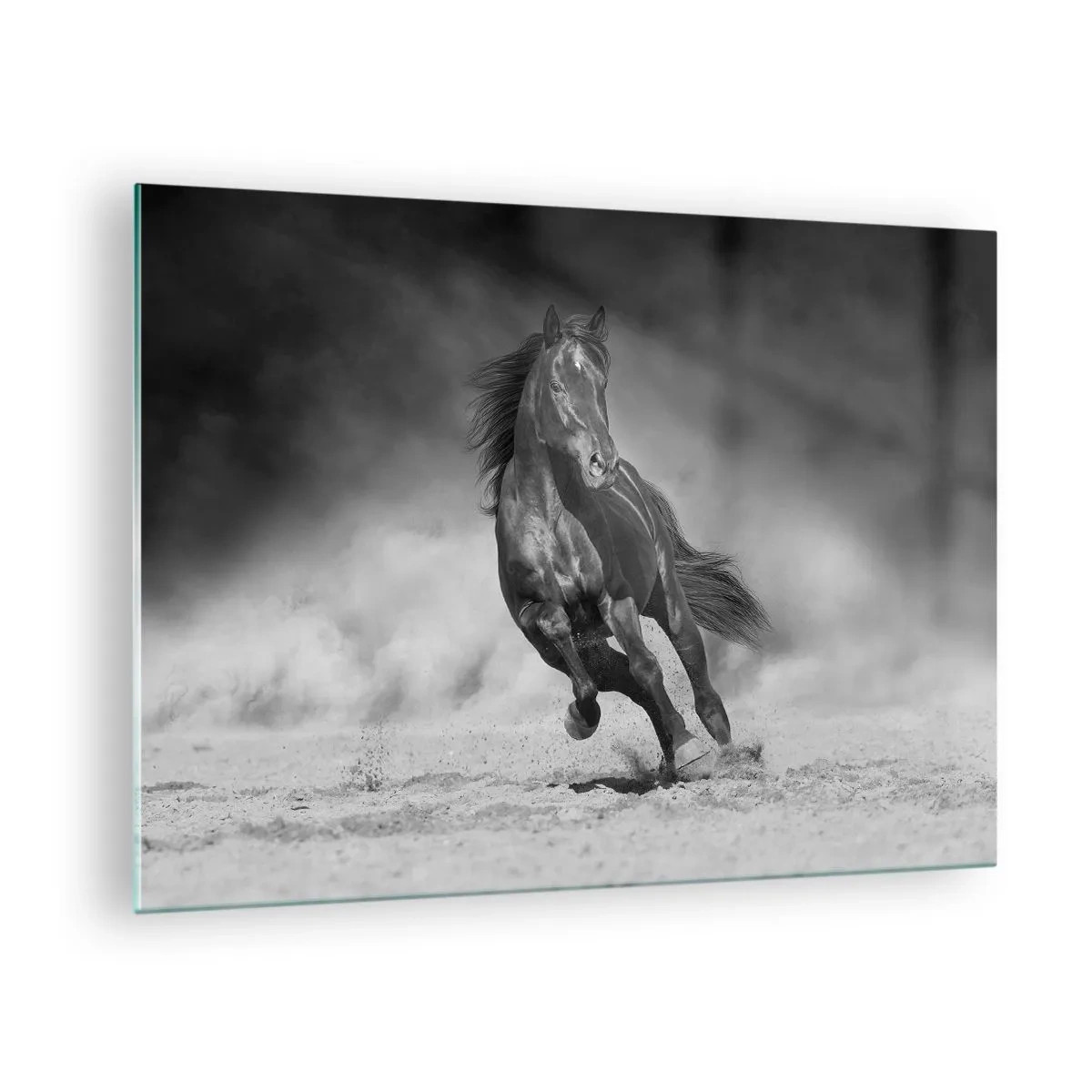 Obraz na szkle - Czarny koń galopujący po piasku w czarno-białej tonacji - 70x50cm - Godny samego emira - Nowoczesna dekoracja ścienna do salonu i sypialni ARTTOR