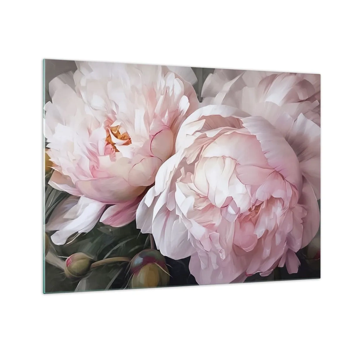 Obraz na szkle - Delikatne piwonie w jasnoróżowym odcieniu w zbliżeniu - 70x50cm - Zatrzymane w rozkwicie - Nowoczesna dekoracja ścienna do salonu i sypialni ARTTOR