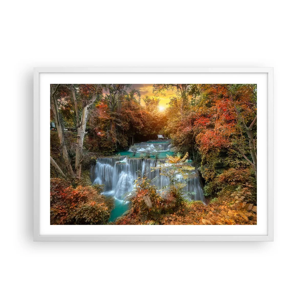 Plakat w białej ramie - Ukryty skarb lasu - 70x50 cm