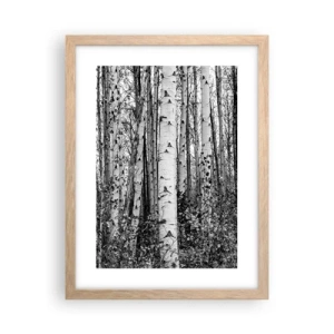 Plakat w ramie jasny dąb - Brzozowa kolumnada - 30x40 cm