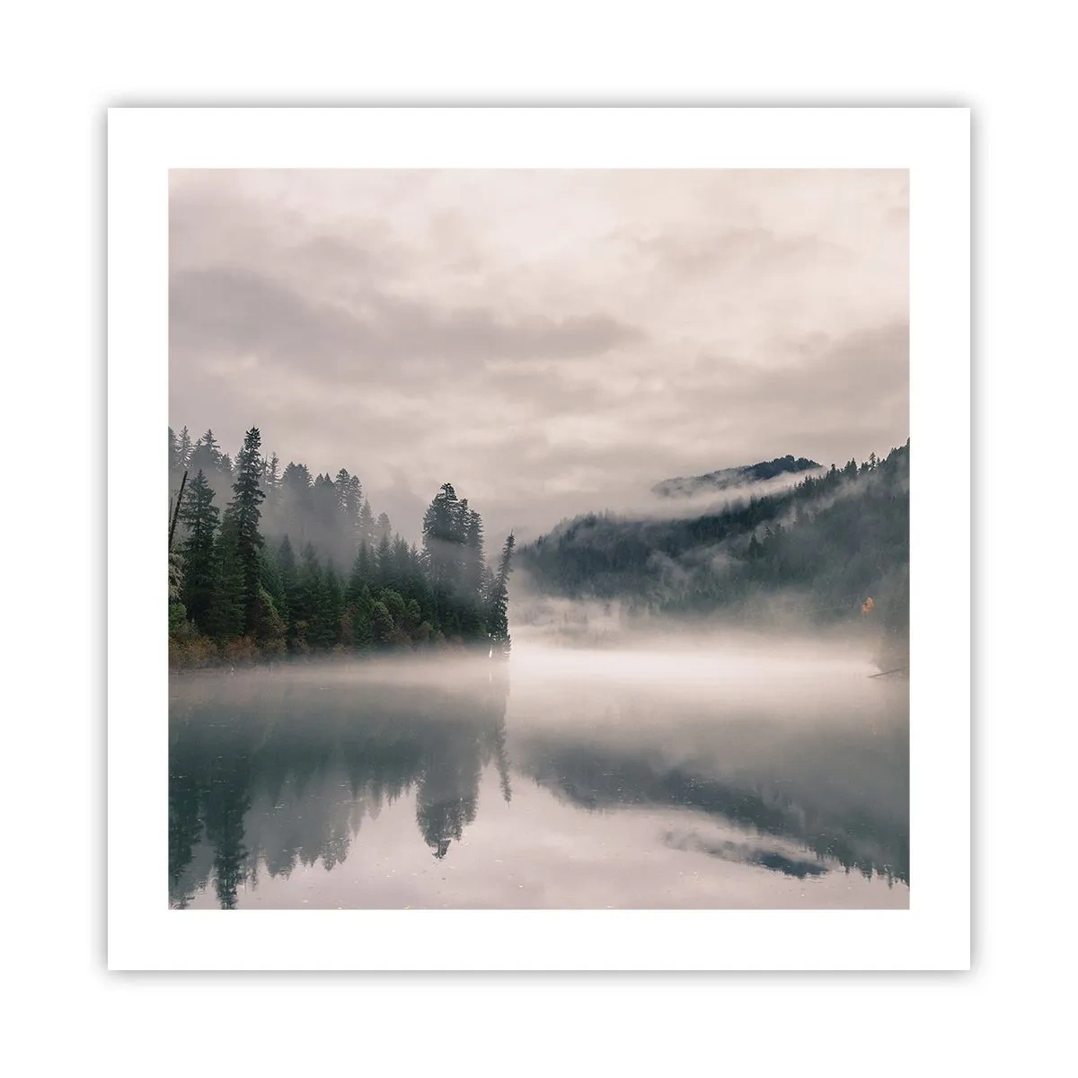 Plakat - W zadumie, we mgle - 50x50 cm