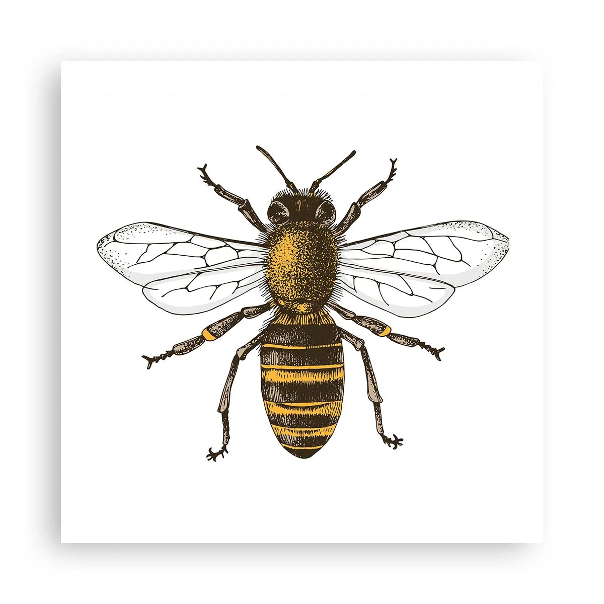 Plakat - Piękna i dobra - 50x50 cm