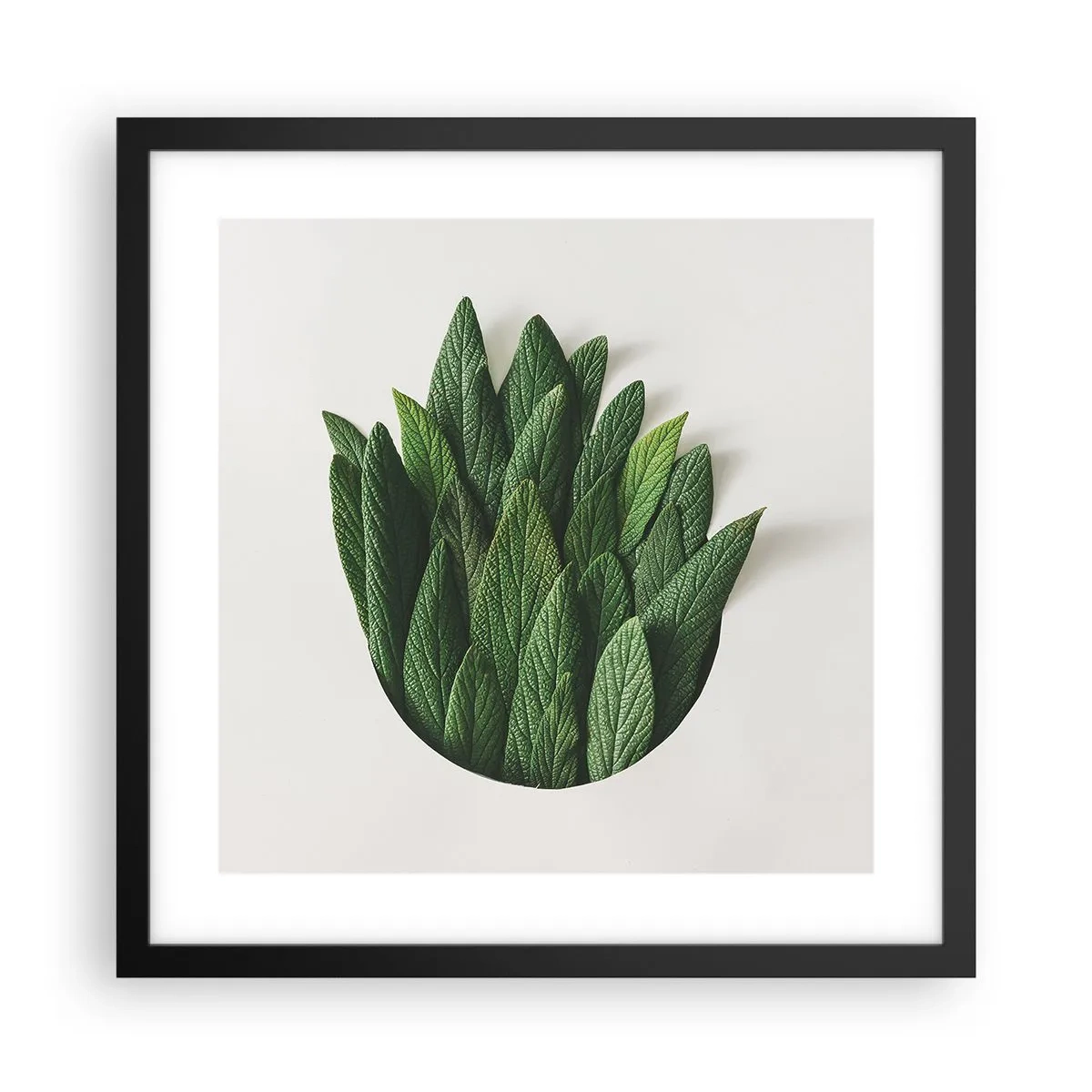 Plakat w czarnej ramie - Nieposkromiona ciekawość - 40x40 cm