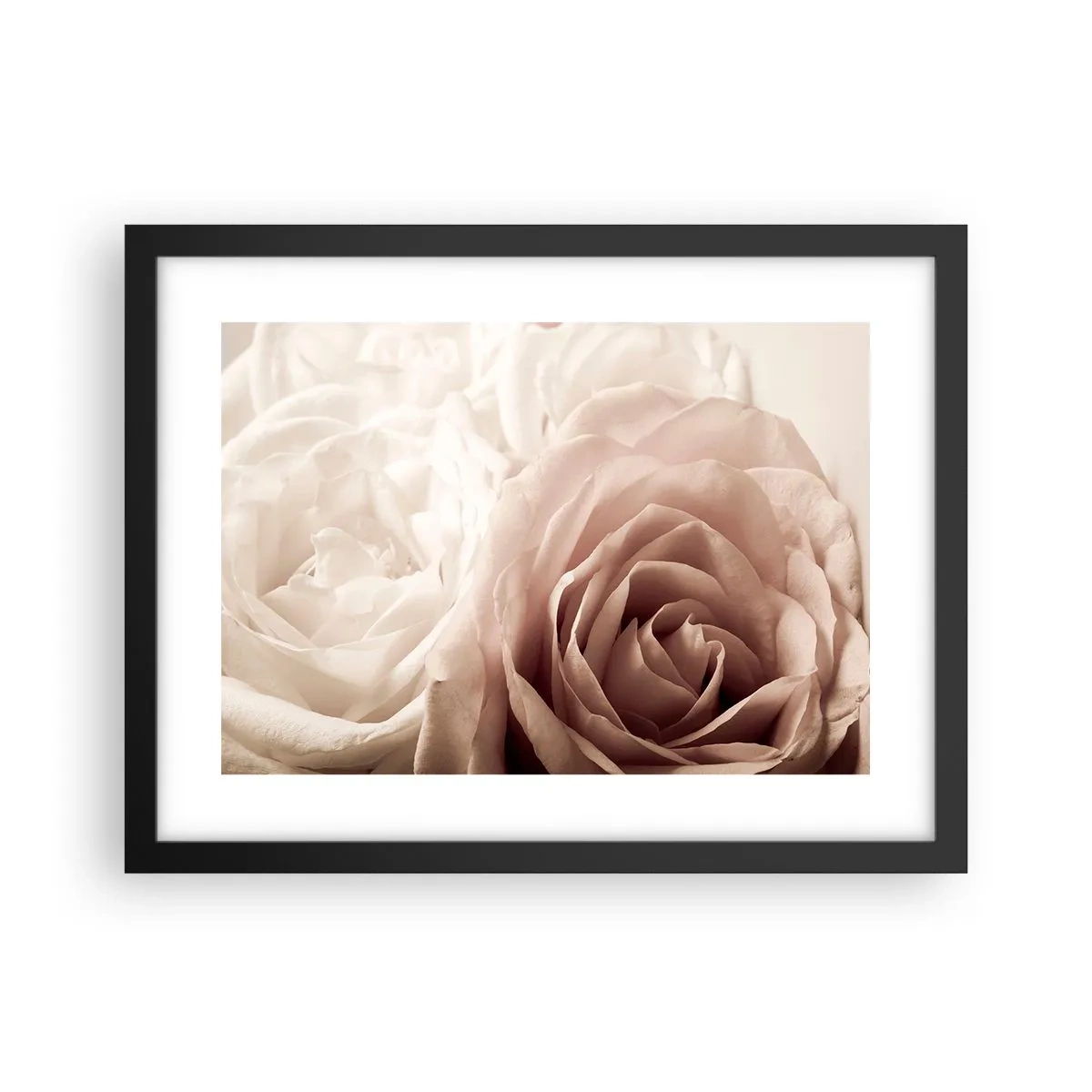Plakat w czarnej ramie - W sercu róży - 40x30 cm
